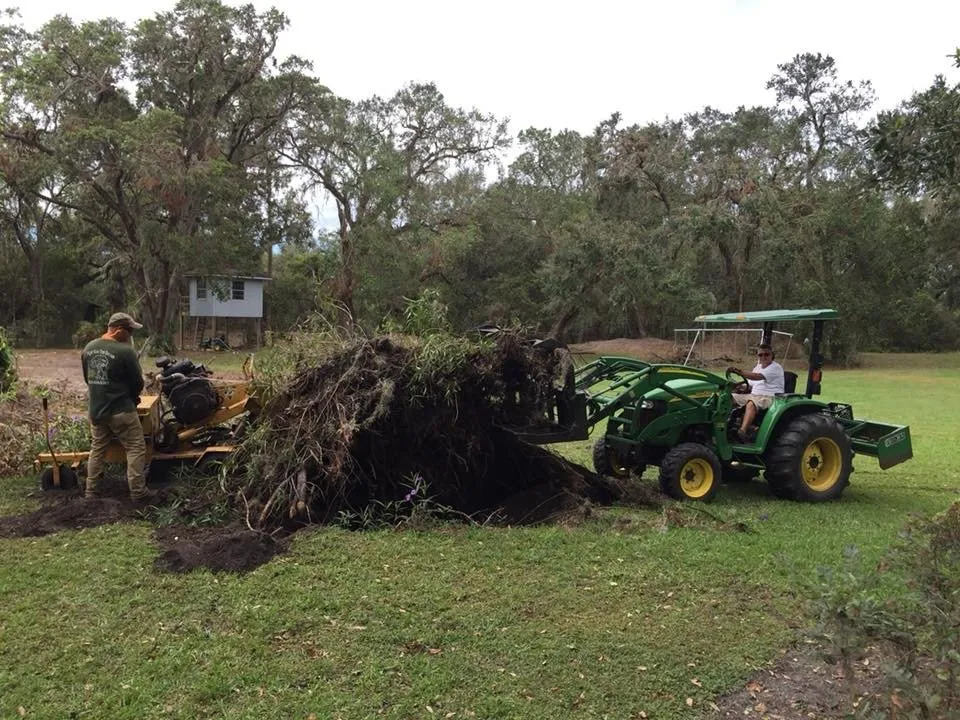 Top-rated landscape design in Lakeland, FL - High View Tree Service