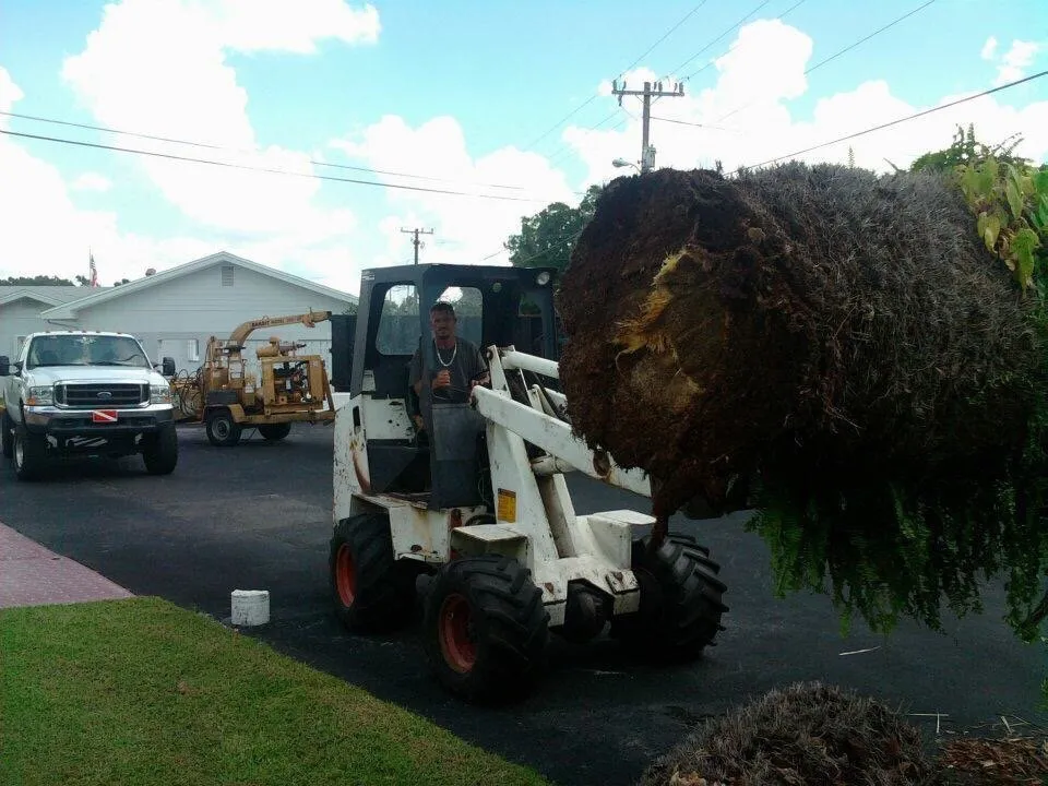 Local lawn care service in Lakeland, FL by High View Tree Service