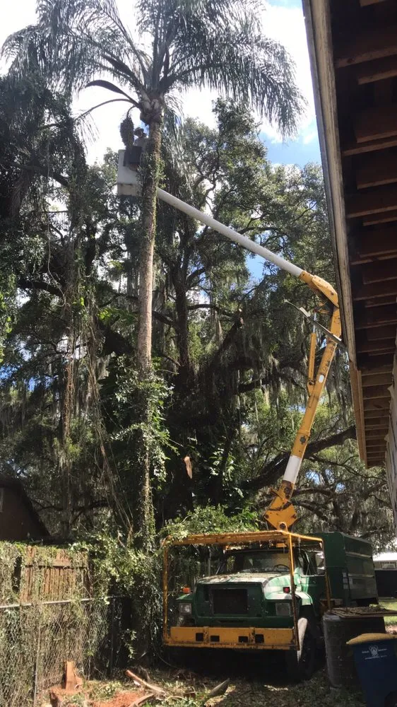 Professional landscape installation in Lakeland, FL - High View Tree Service