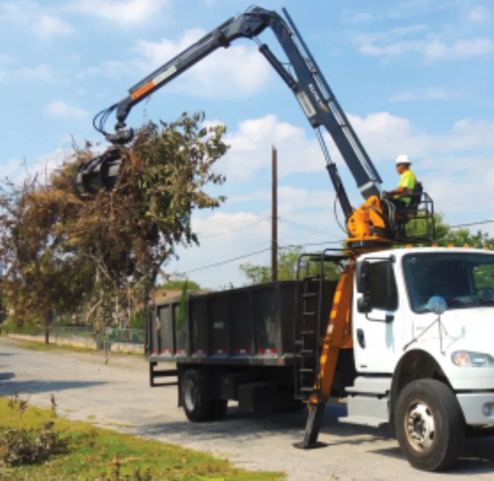 Trusted yard cleanup service in Lakeland, FL by High View Tree Service