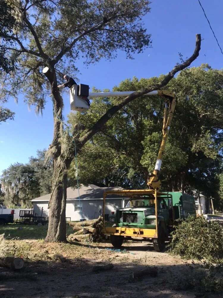 Top-rated landscaping services in Lakeland, FL - High View Tree Service