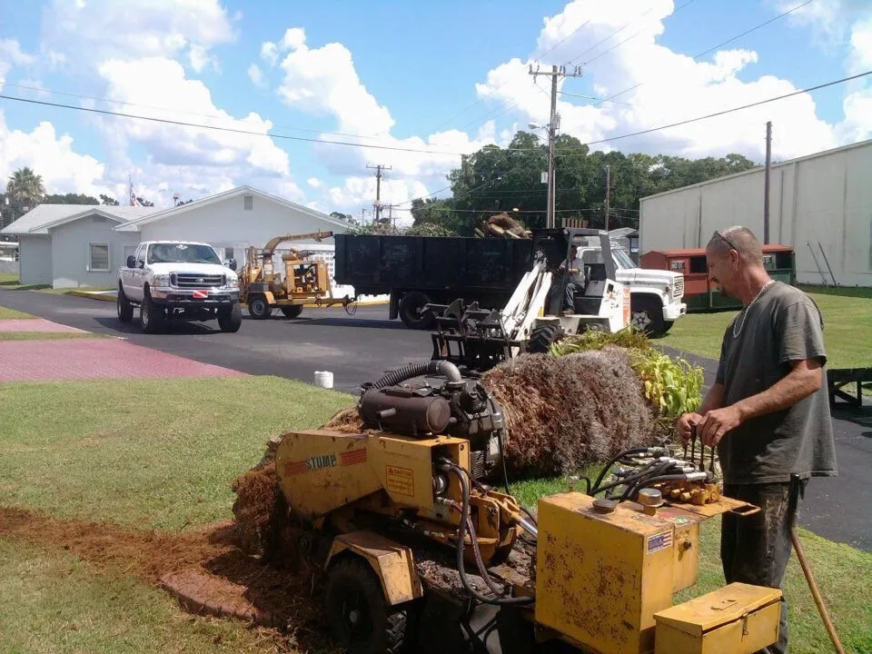 Reliable lawn mowing service in Lakeland, FL by High View Tree Service