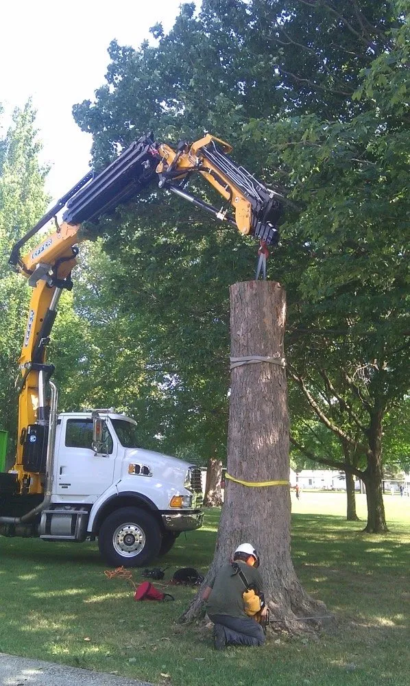 Top-rated outdoor landscaping experts serving Lakeland, FL - High View Tree Service