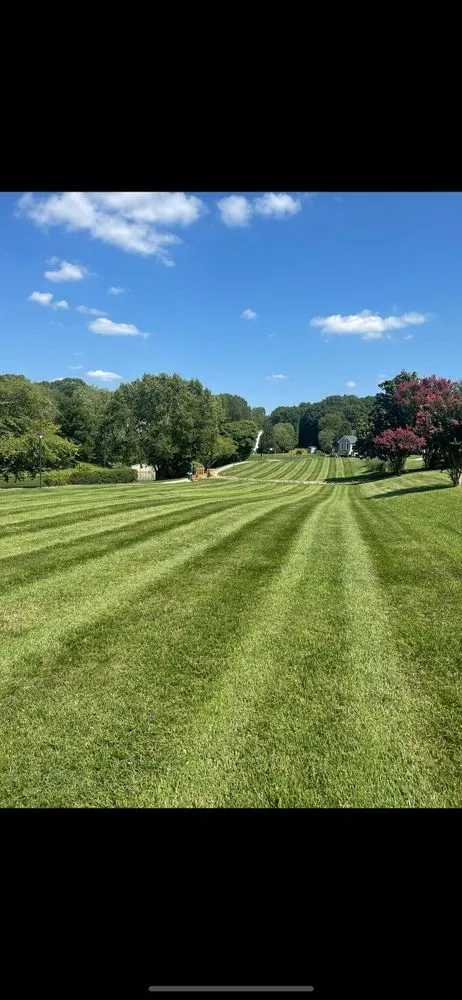 Top-rated lawn care service in Lexington, NC - High Vision Landscaping
