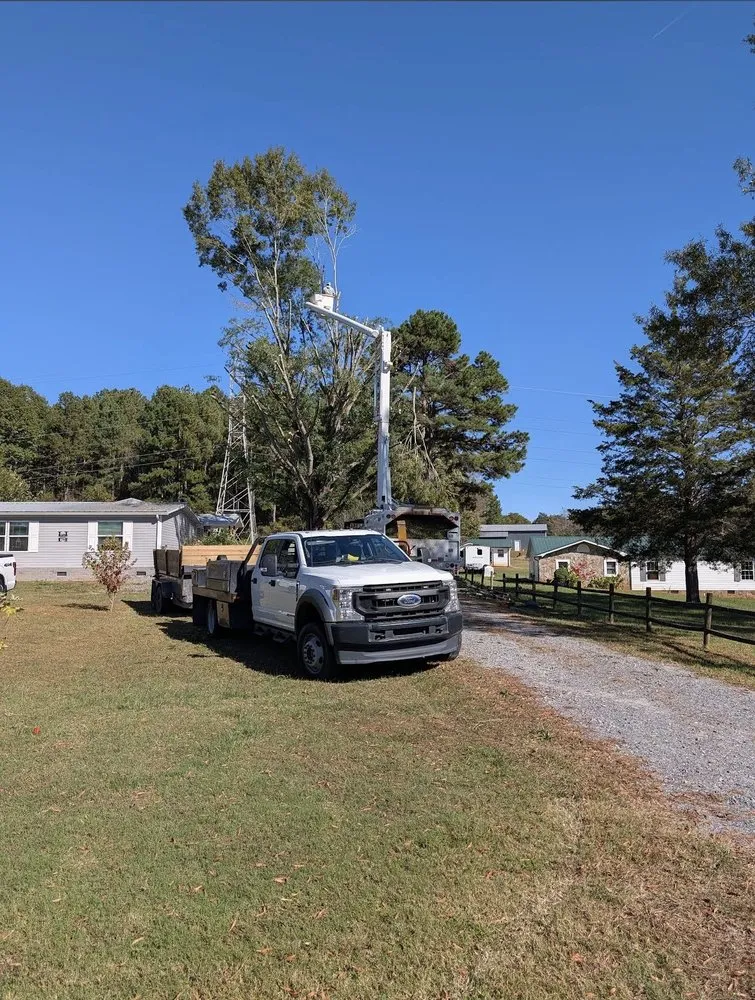 Local outdoor landscaping in Marion, NC by High Vision Tree Services