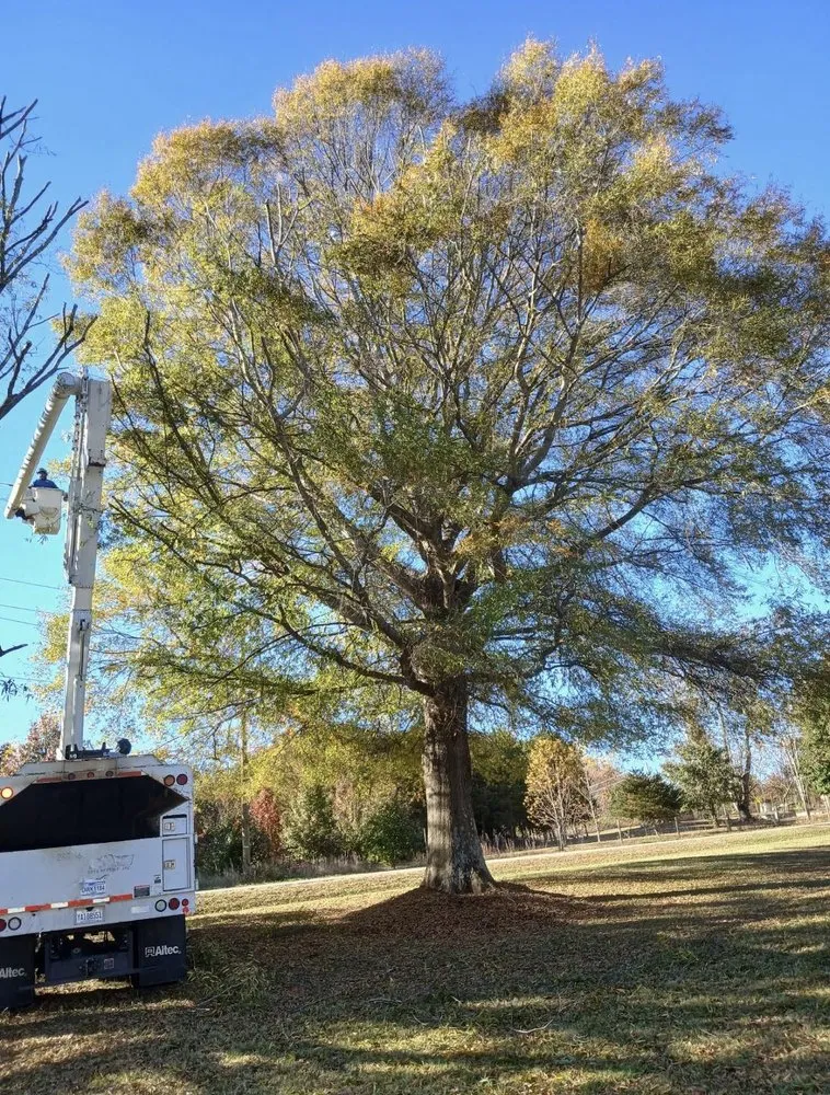 Expert landscape installation for outdoor upgrades across Marion, NC - High Vision Tree Services