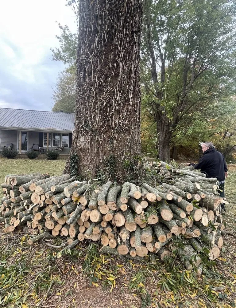 Reliable landscape design in Marion, NC - High Vision Tree Services