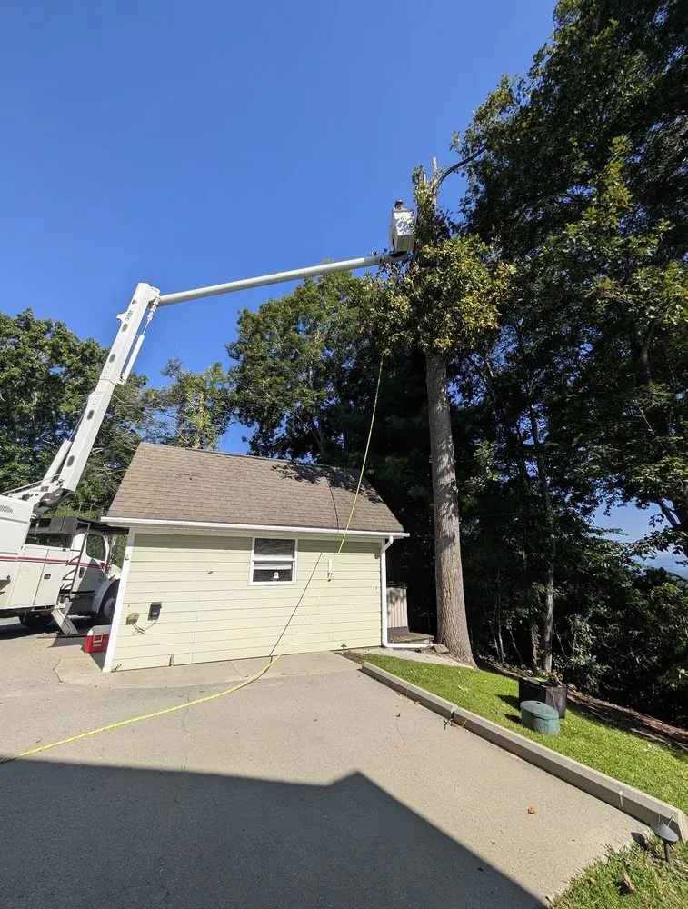 Top-rated garden landscaping in Marion, NC - High Vision Tree Services