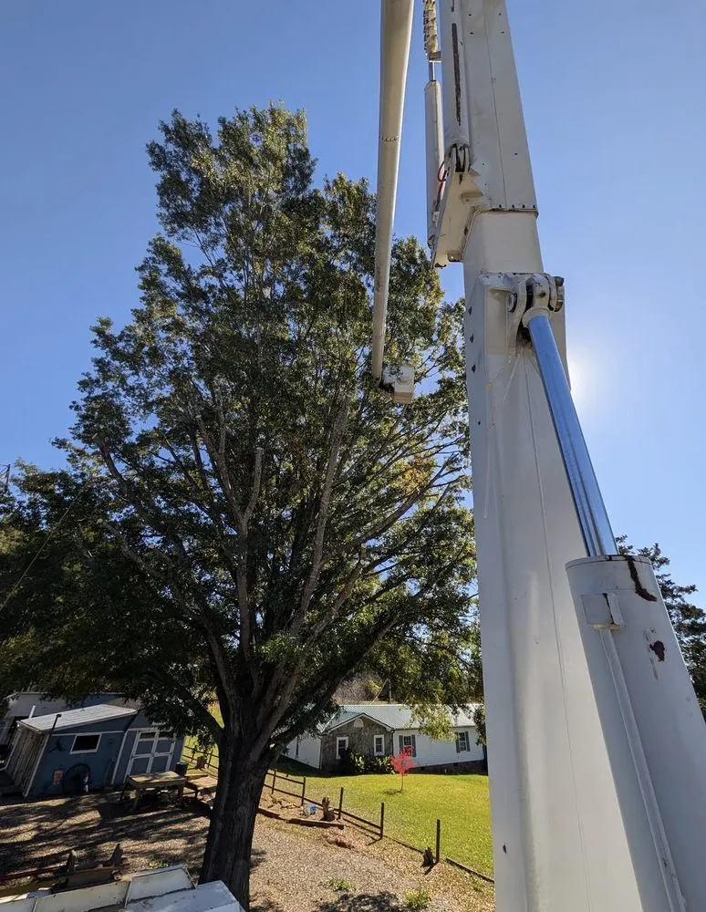 Top-rated landscaping services experts serving Marion, NC - High Vision Tree Services