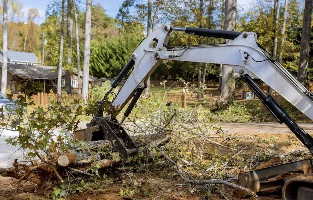 Local yard maintenance with custom design in Marion, NC by High Vision Tree Services