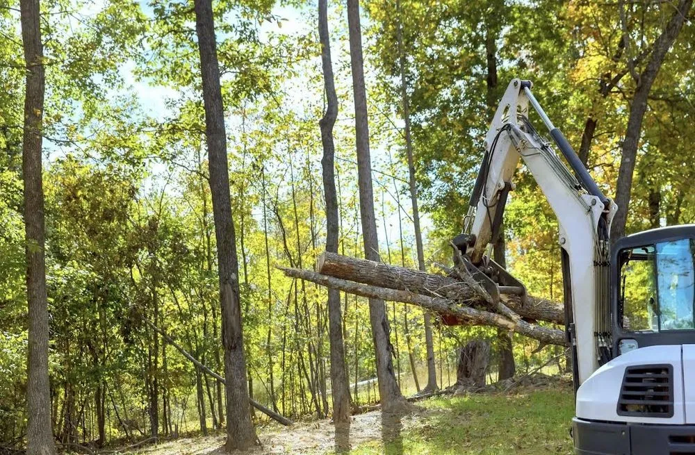Top-rated landscaping services experts serving Marion, NC - High Vision Tree Services