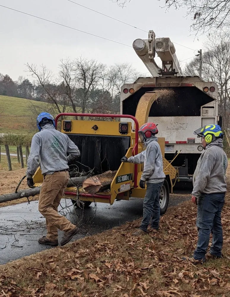 Custom residential landscaping experts serving Marion, NC - High Vision Tree Services