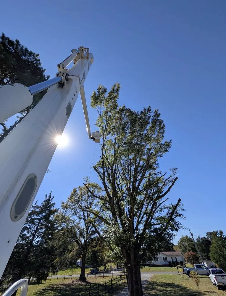 Custom garden landscaping in Marion, NC - High Vision Tree Services