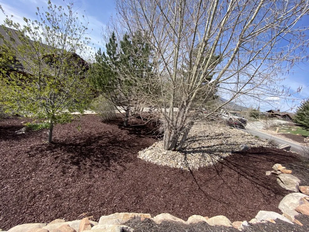 Local yard maintenance in Park City, UT - High West Landscaping