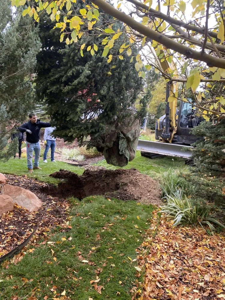 Custom lawn care service in Park City, UT - High West Landscaping