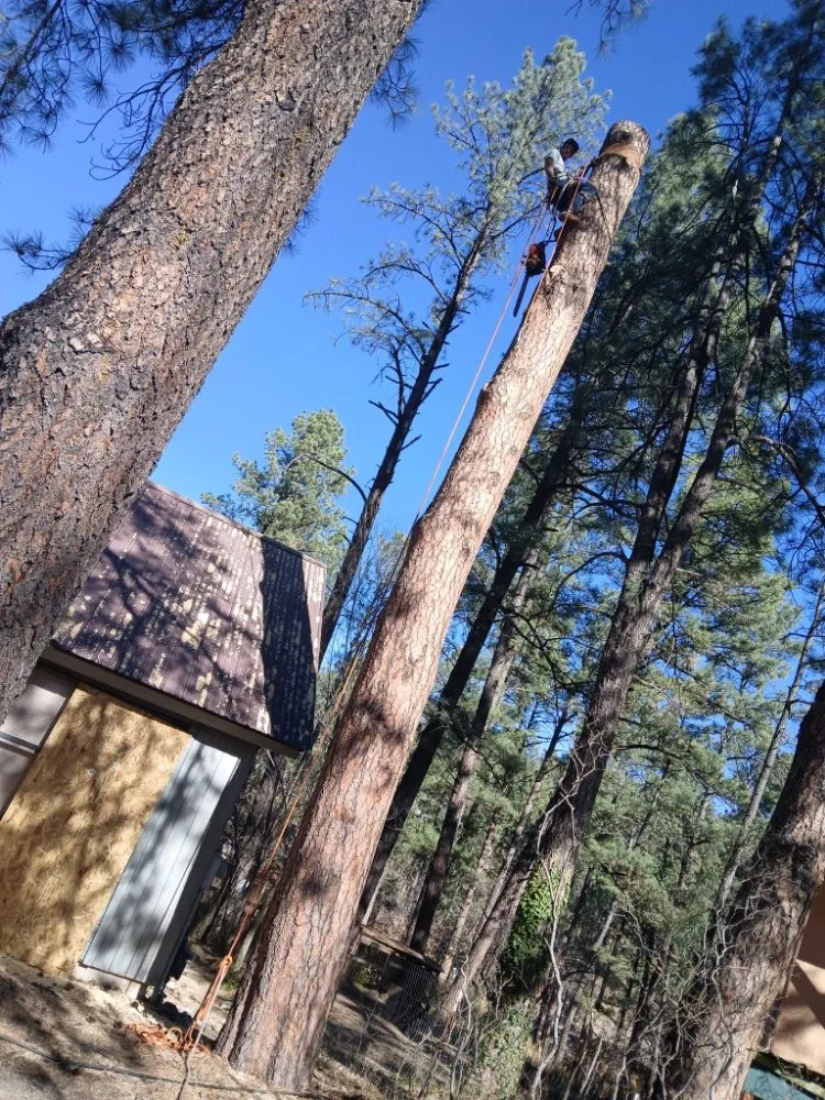 Local residential landscaping in Ruidoso Downs, NM - Higher Elevation Tree service & Landscaping