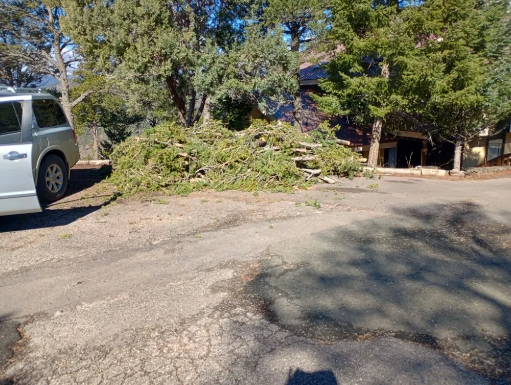 Local yard maintenance in Ruidoso Downs, NM by Higher Elevation Tree service & Landscaping