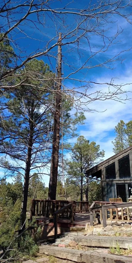 Custom landscape design in Ruidoso Downs, NM by Higher Elevation Tree service & Landscaping
