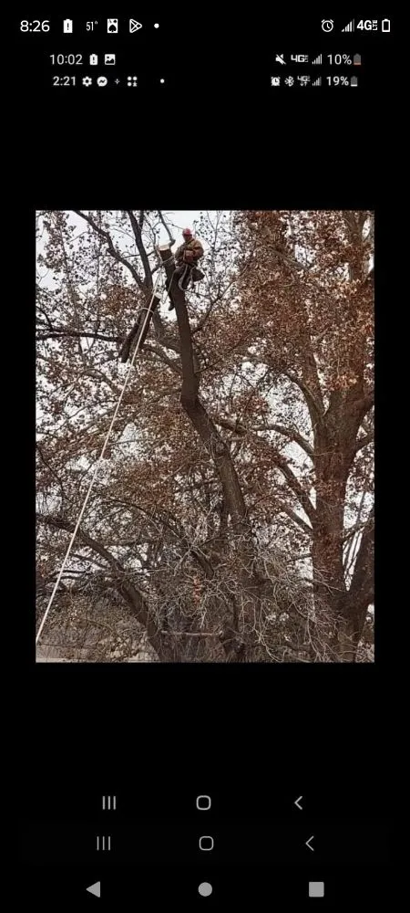 Local landscaping services in Ruidoso Downs, NM by Higher Elevation Tree service & Landscaping