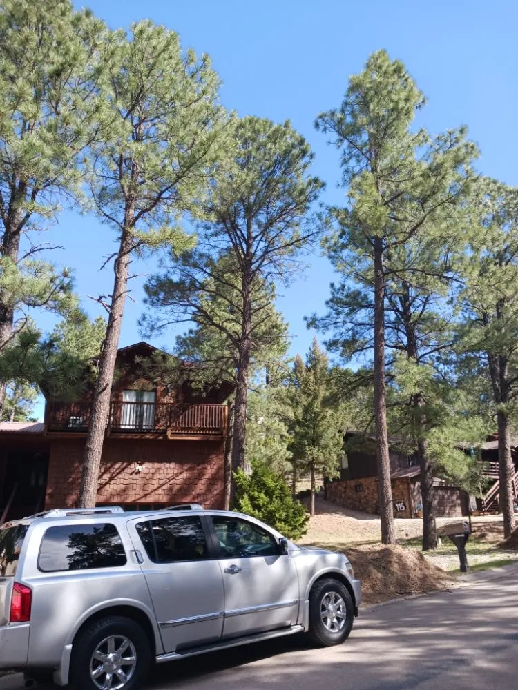 Affordable lawn mowing service with custom design in Ruidoso Downs, NM by Higher Elevation Tree service & Landscaping