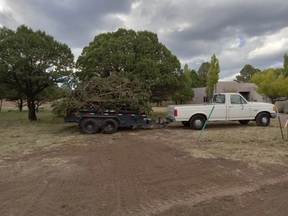 Custom yard cleanup service in Ruidoso Downs, NM by Higher Elevation Tree service & Landscaping