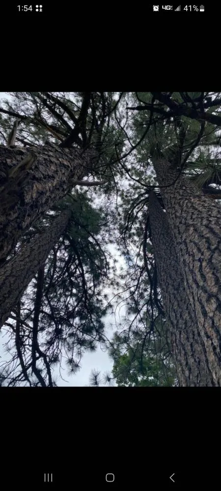 Reliable outdoor landscaping for homes in Ruidoso Downs, NM by Higher Elevation Tree service & Landscaping