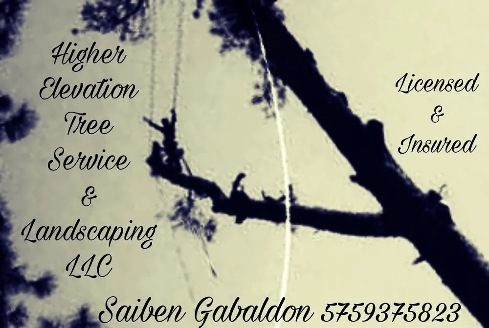 Top-rated landscape installation near you in Ruidoso Downs, NM by Higher Elevation Tree service & Landscaping