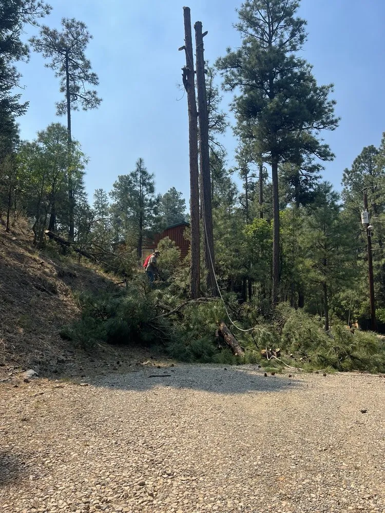 Top-rated yard maintenance in Ruidoso Downs, NM by Higher Elevation Tree service & Landscaping