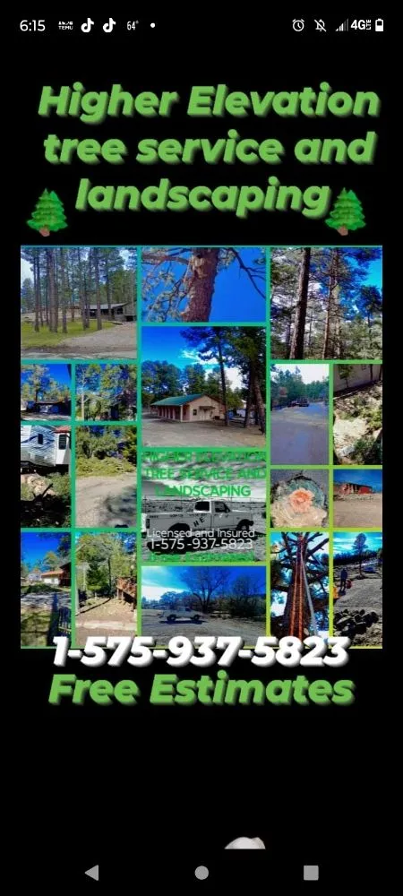 Expert landscape design experts serving Ruidoso Downs, NM - Higher Elevation Tree service & Landscaping