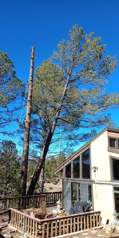 Trusted residential landscaping in Ruidoso Downs, NM by Higher Elevation Tree service & Landscaping