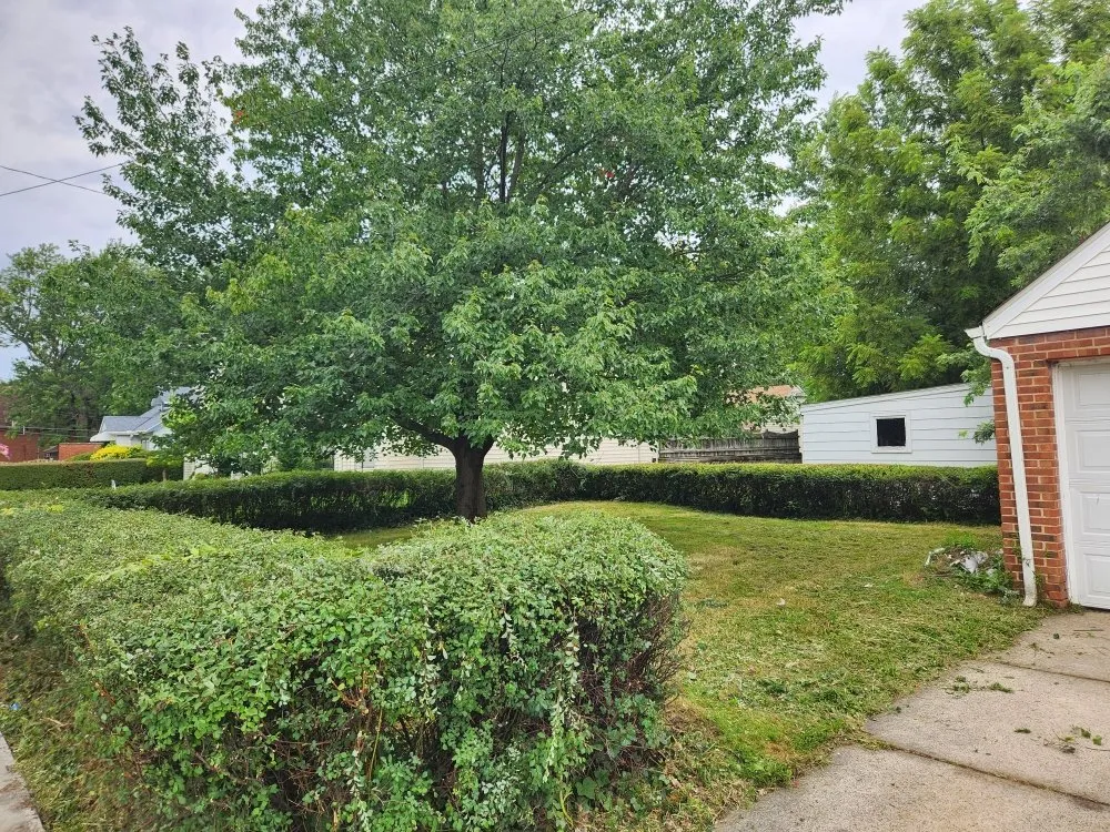 Local lawn care service in Solon, OH - Higher Expectations