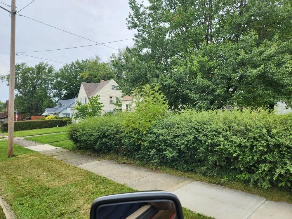 Affordable landscape design in Solon, OH by Higher Expectations