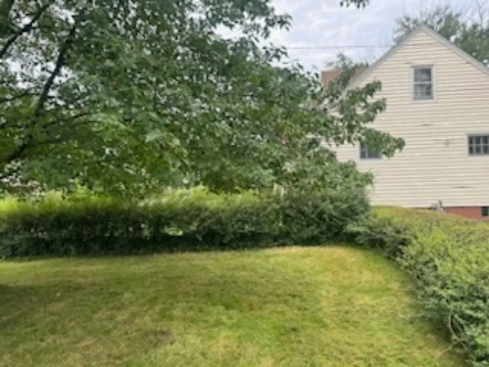 Top-rated landscaping services in Solon, OH by Higher Expectations