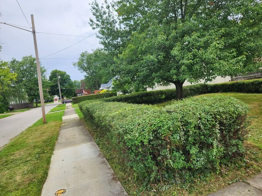 Reliable residential landscaping in Solon, OH - Higher Expectations