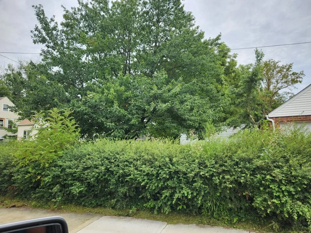 Top-rated landscape installation in Solon, OH by Higher Expectations