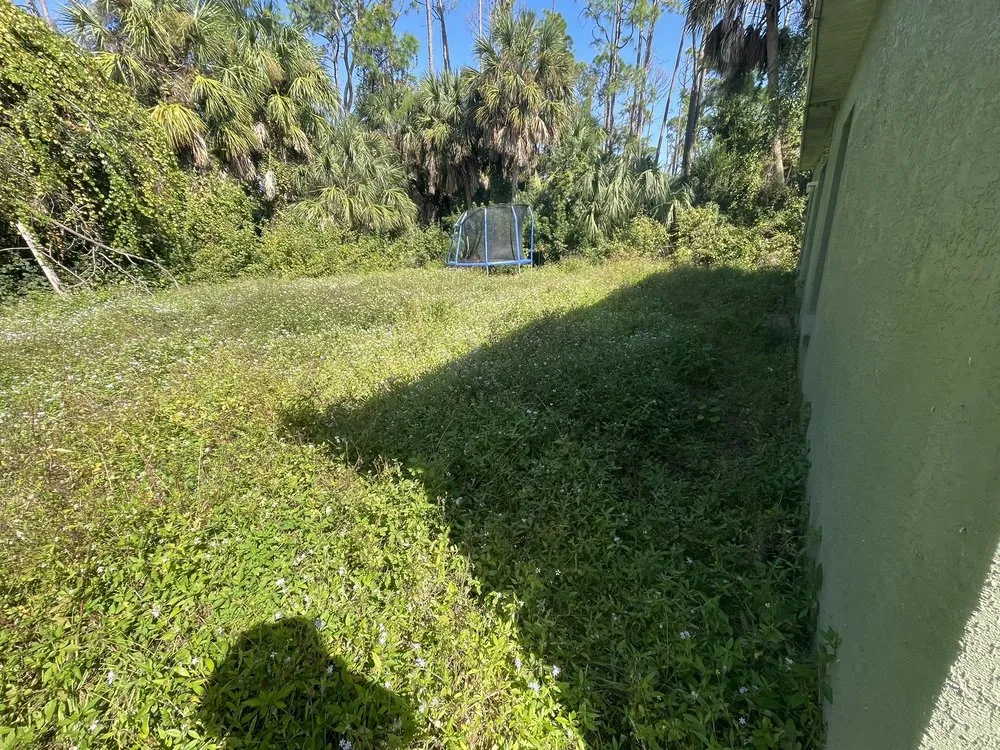 Trusted landscape installation experts serving Sarasota, FL - Higher Gardens Landscaping & More