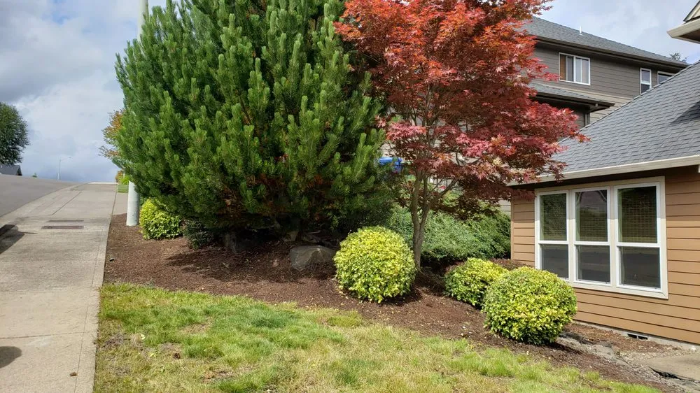 Affordable yard cleanup service experts serving Salem, OR - Higher Ground Landscape Maintenance