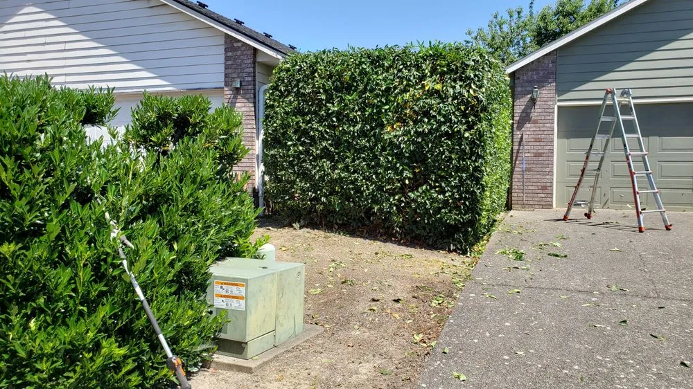 Professional outdoor landscaping for homes across Salem, OR - Higher Ground Landscape Maintenance