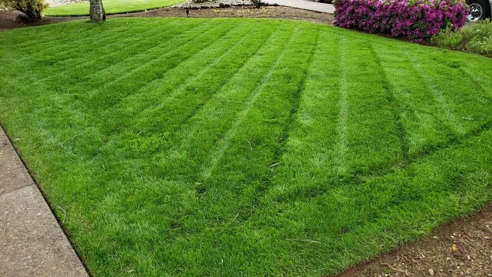 Expert outdoor landscaping in Salem, OR by Higher Ground Landscape Maintenance