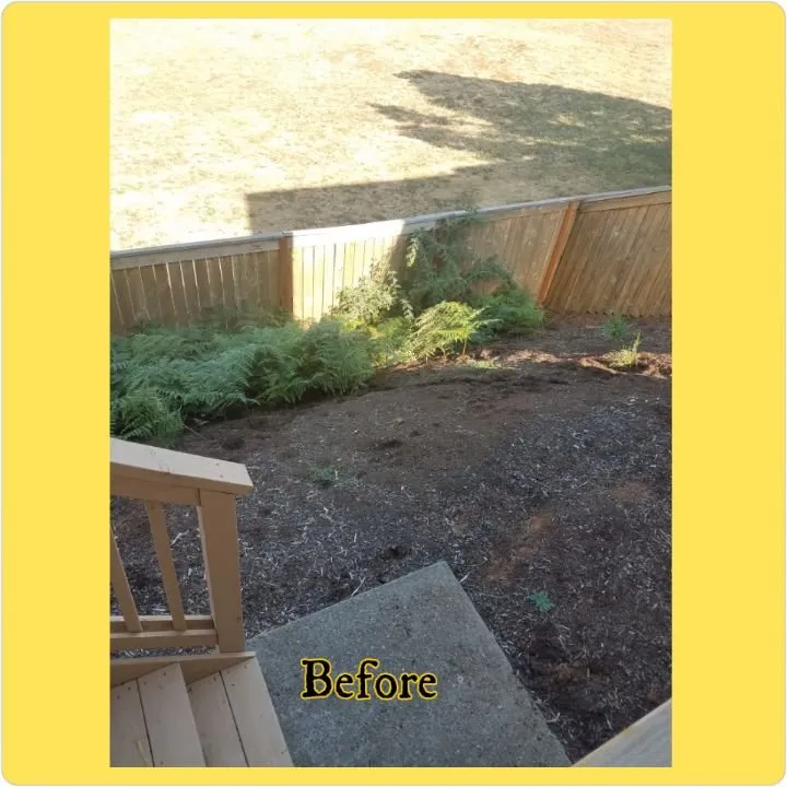 Reliable outdoor landscaping experts serving Salem, OR - Higher Ground Landscape Maintenance