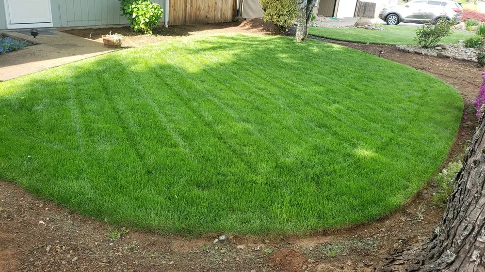 Professional outdoor landscaping for beautiful yards across Salem, OR - Higher Ground Landscape Maintenance