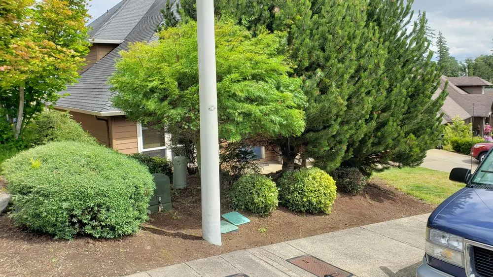 Reliable outdoor landscaping in Salem, OR - Higher Ground Landscape Maintenance