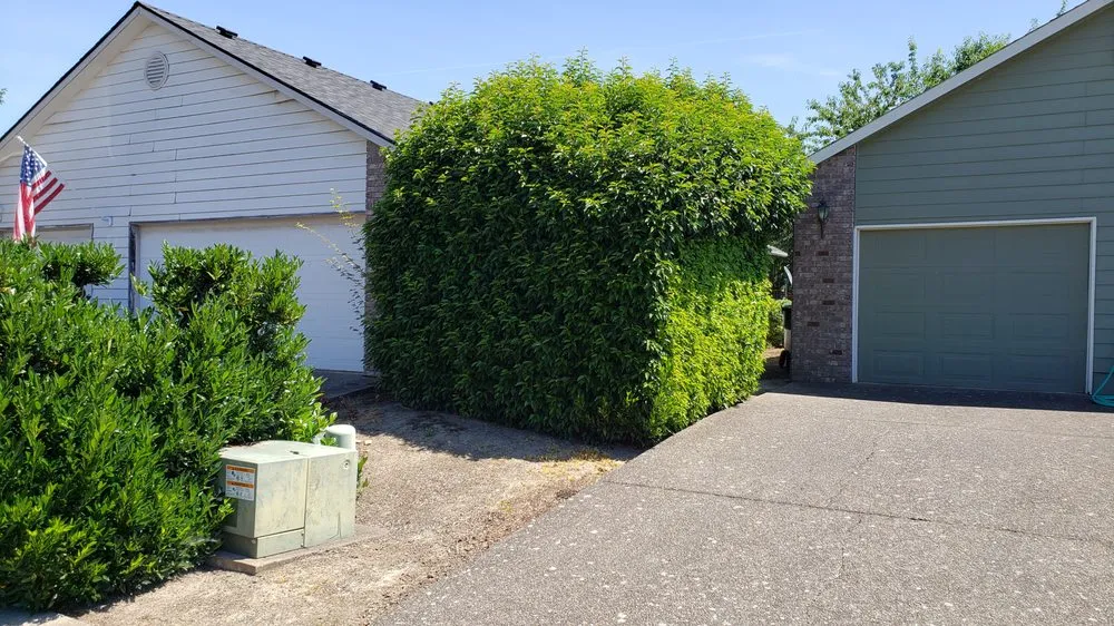 Reliable garden landscaping experts serving Salem, OR - Higher Ground Landscape Maintenance