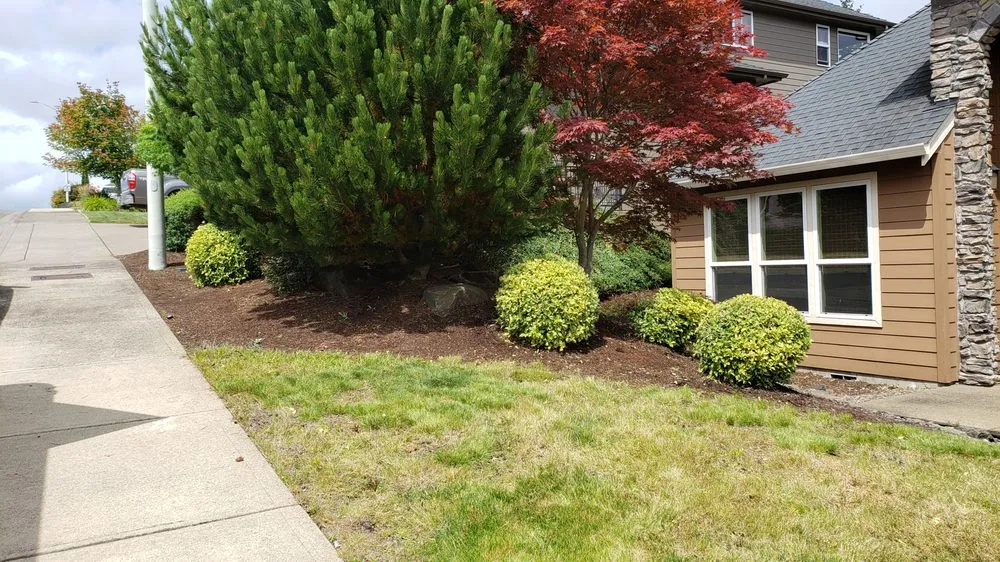 Reliable residential landscaping in Salem, OR - Higher Ground Landscape Maintenance