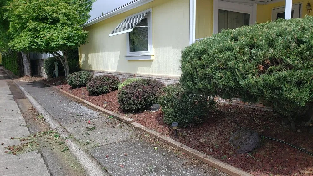 Local yard cleanup service with custom design in Salem, OR by Higher Ground Landscape Maintenance
