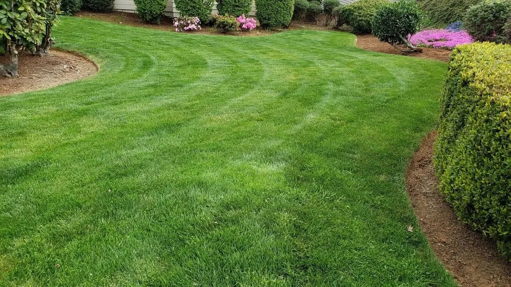 Trusted yard cleanup service for homes across Salem, OR - Higher Ground Landscape Maintenance