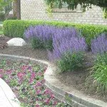 Top-rated residential landscaping for beautiful yards across Auburn Hills, MI - Higher Ground Landscaping