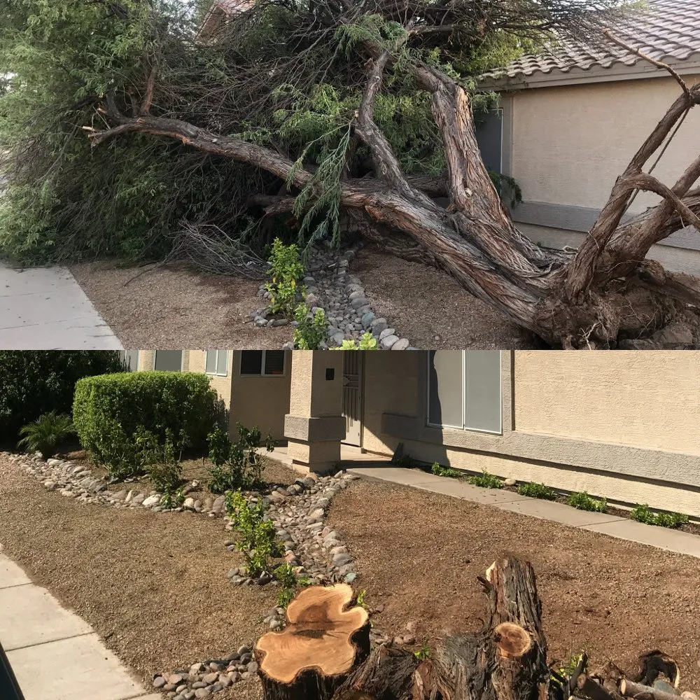 Trusted landscape installation with custom design across Gilbert, AZ - Higher Ground Landscaping