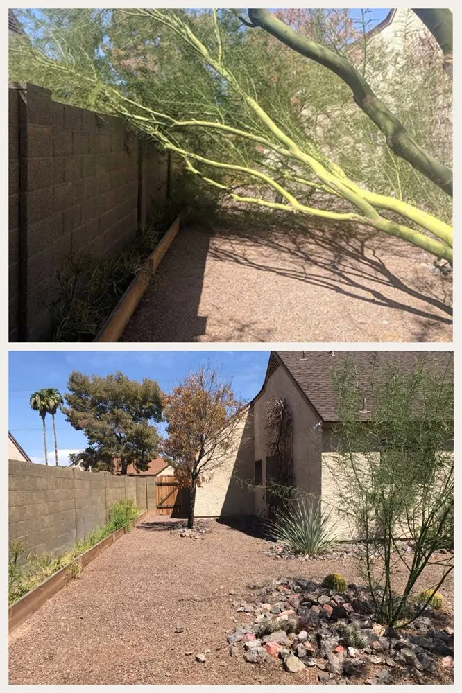 Top-rated residential landscaping in Gilbert, AZ by Higher Ground Landscaping