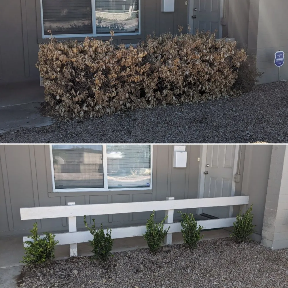 Reliable lawn mowing service in Gilbert, AZ - Higher Ground Landscaping